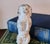 English Antique Staffordshire Poodle Dog For Sale - Image 3 of 5