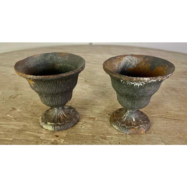Neoclassical Neoclassical Cast Iron Urns, Distressed Finish, France, 20th Century For Sale - Image 3 of 10