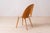 Mid-Century Dining Chairs attributed to A. Suman, 1960s, Set of 10 For Sale - Image 13 of 18