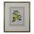 Yellow Trumpet Flowers: Hand-Colore Botanical Engraving by Joseph Paxton , 1834 For Sale