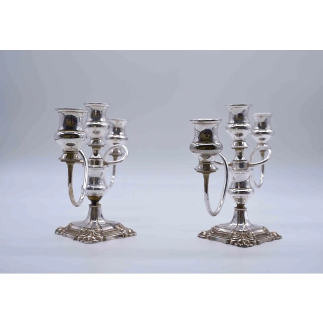 1960s Vintage Twisted Branch Silver Plated Candelabra - a Pair For Sale - Image 5 of 13