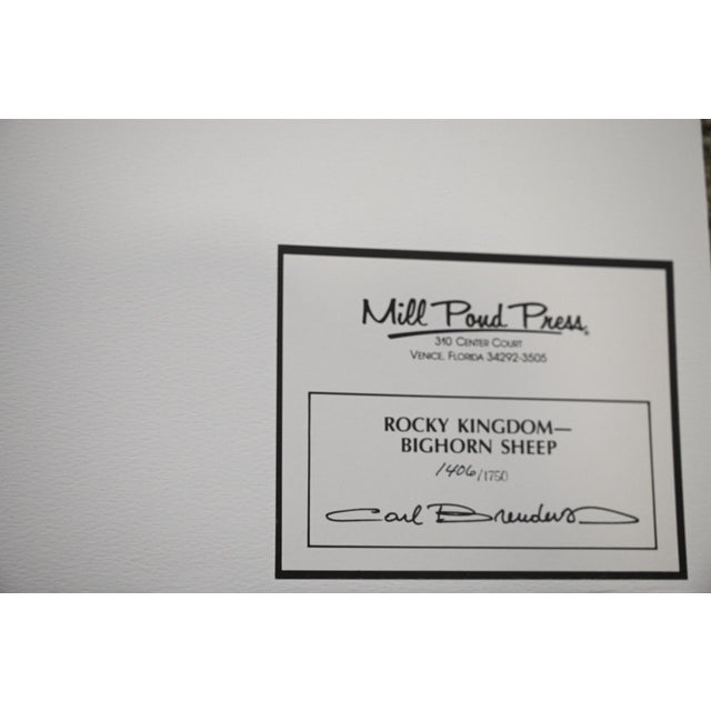 1990s Carl Brenders "Rocky Kingdom - Bighorn Sheep" Signed Limited Edition Lithograph, 1992 For Sale - Image 5 of 10