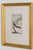 19th Century Set of Framed Avian / Bird Engravings For Sale - Image 10 of 11