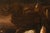 17th Century Elena Recco, Still Lifes with Fish and Shellfish, 1690, Oil on Canvas, Set of 2 For Sale - Image 5 of 16