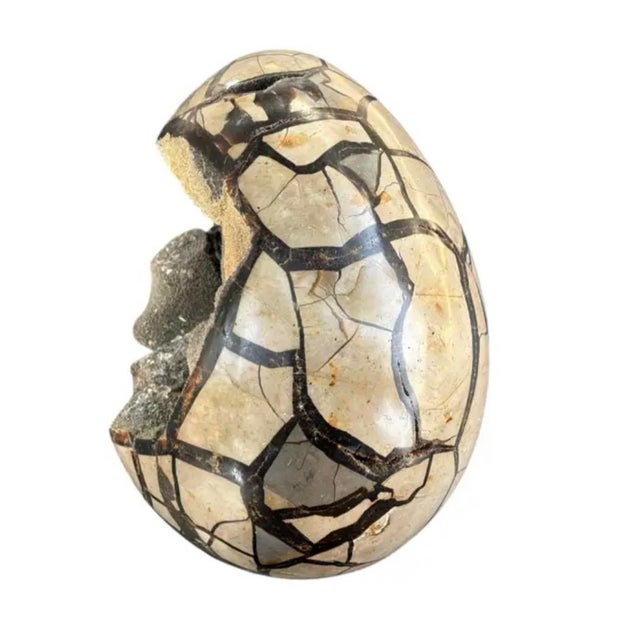 Contemporary Septarian "Egg" Geode From the Cretaceous Period For Sale - Image 3 of 8