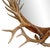 Whitetail Deer Antler Framed Mirror For Sale In Chicago - Image 6 of 11