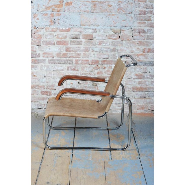 Bauhaus Czech Bauhaus Armchair in Chrome attributed to M. Breuer for Thonet, 1920s For Sale - Image 3 of 16