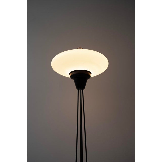 Metal Mid-Century Modern Italian Floor Lamp from Stilnovo, 1950s For Sale - Image 7 of 9