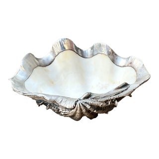 Vintage Metal Dipped Ruffle Clam Shell For Sale