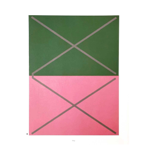 2009 Josef Albers the Interaction of Color Plate Vi-3