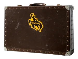 Vintage Metal & Wood Luggage Case