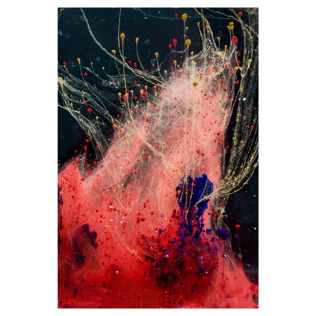 Sam Thomas, Explosion, 2014, Colour Photographic Print For Sale