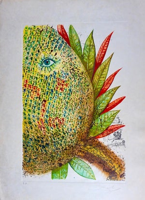 1960s Salvador Dali Vegetation Inedit (Pineapple)