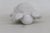 White Ceramic Laughing Buddha With Arms Raised Hotei Figurine Gloss Finish 5027b For Sale - Image 10 of 10