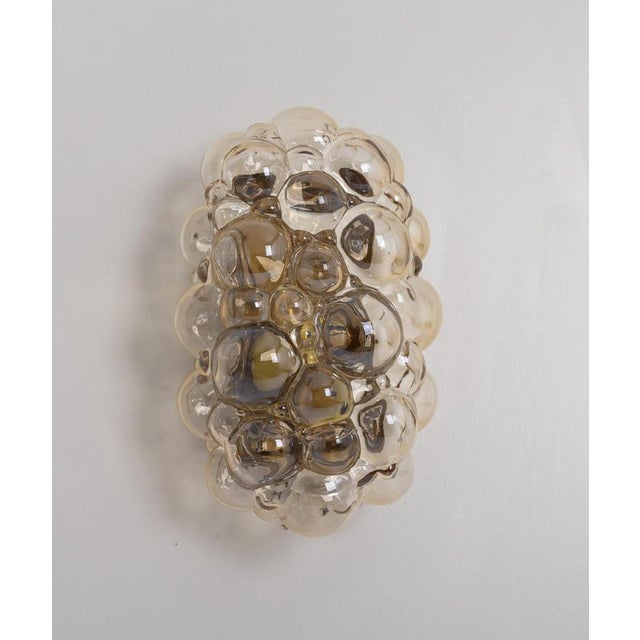 Amber Bubble Glass Sconce by Helena Tynell for Limburg, Germany, 1960s For Sale - Image 4 of 16