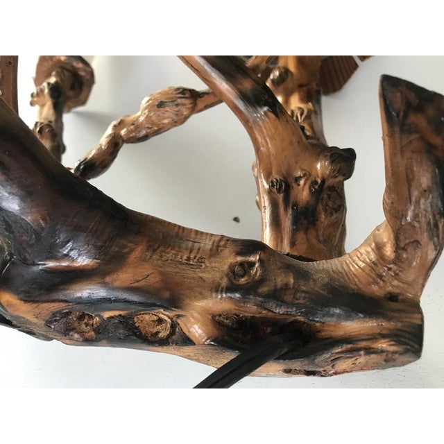 Table Lamp in Tree Root, 1970s For Sale - Image 4 of 18