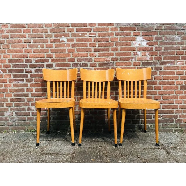 Wooden Dining Chairs from Erco, 1960s, Set of 3 For Sale - Image 11 of 11