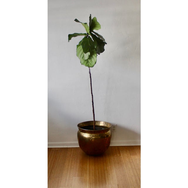 Vintage Extra Large Hammered Brass Planters Mid Century Indian Style For Sale - Image 9 of 13