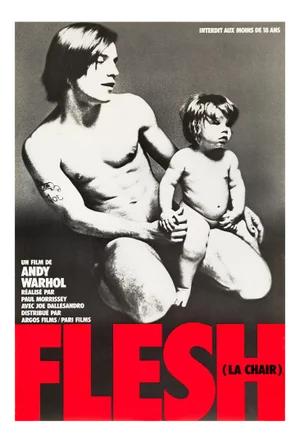 Andy Warhols Flesh Original Vintage Movie Poster, French, 1968