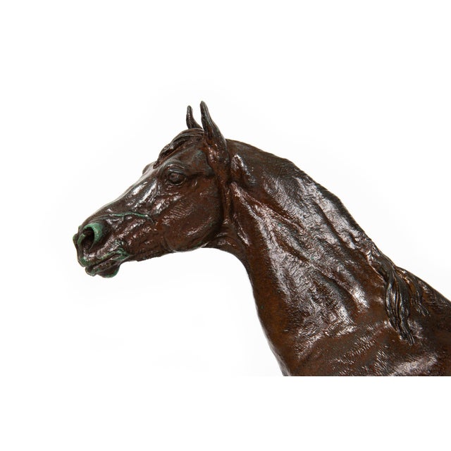 Brown French Bronze Sculpture of Arabian Stallion “Rainbow” by Christophe Fratin For Sale - Image 8 of 17