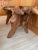 Brown Natural Sculptural Root Table For Sale - Image 8 of 12