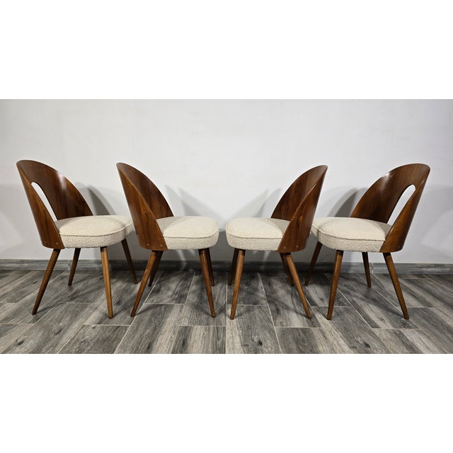 Dining Chairs from Antonin Suman, 1960s, Set of 4 For Sale - Image 4 of 13