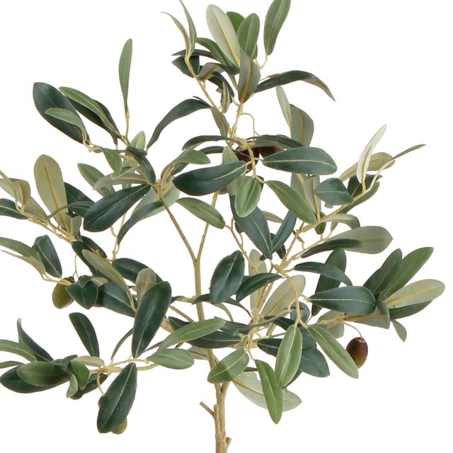 100% realistic a perfect copy of an olive tree. This dropin is a nomaintenance work of art. Complete with a wellsuited...
