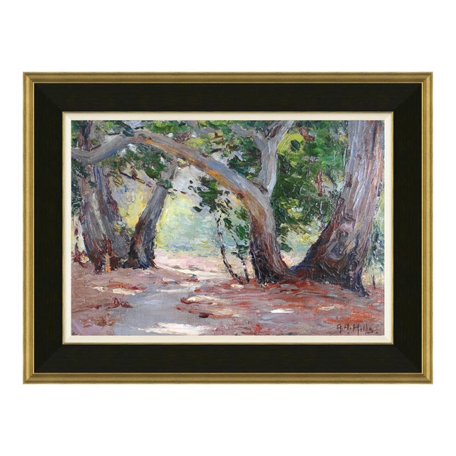 Sycamore Canyon Framed Art Print For Sale