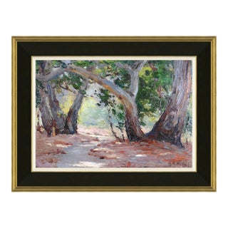 Sycamore Canyon Framed Art Print by David Phoenix For Sale