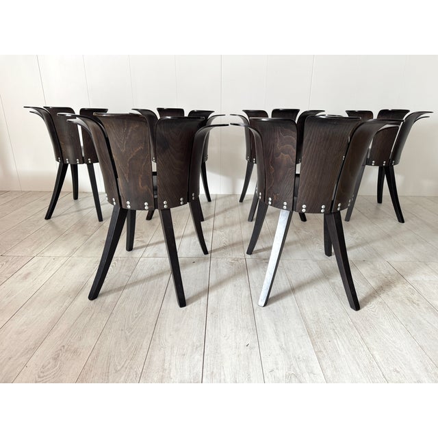 Brown Fiore Chairs by Miro Harold, 1980s, Set of 6 For Sale - Image 8 of 18