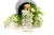 Glass Perfume Bottle with Gold Lid For Sale - Image 5 of 5