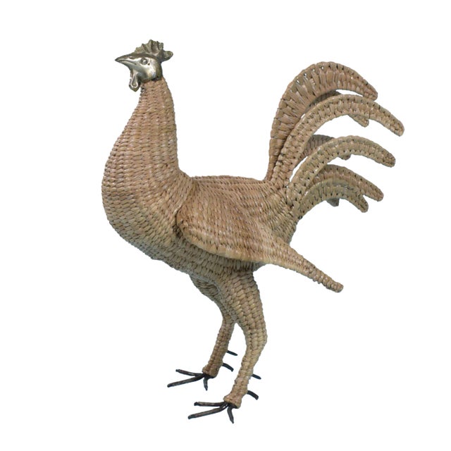 Mario Lopez Torres Rooster For Sale - Image 10 of 10