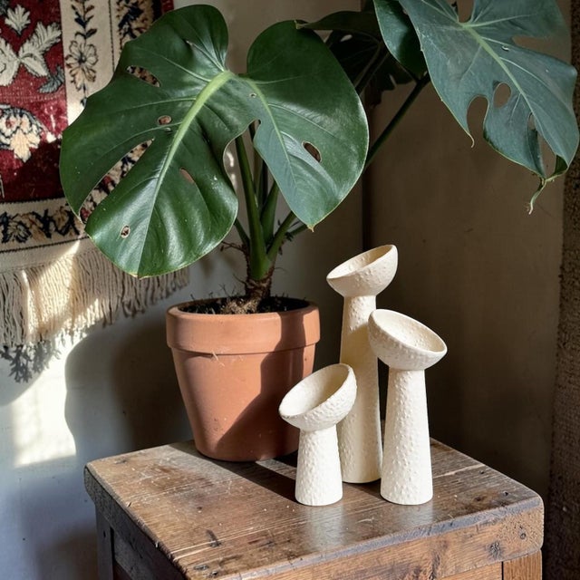 Elevate your home decor with this Modern Textured Ceramic Holders, designed to beautifully showcase air plants or candles....