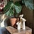 Elevate your home decor with this Modern Textured Ceramic Holders, designed to beautifully showcase air plants or candles....
