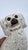 Antique English Staffordshire Spaniel Dog, Circa 1850's For Sale - Image 9 of 12