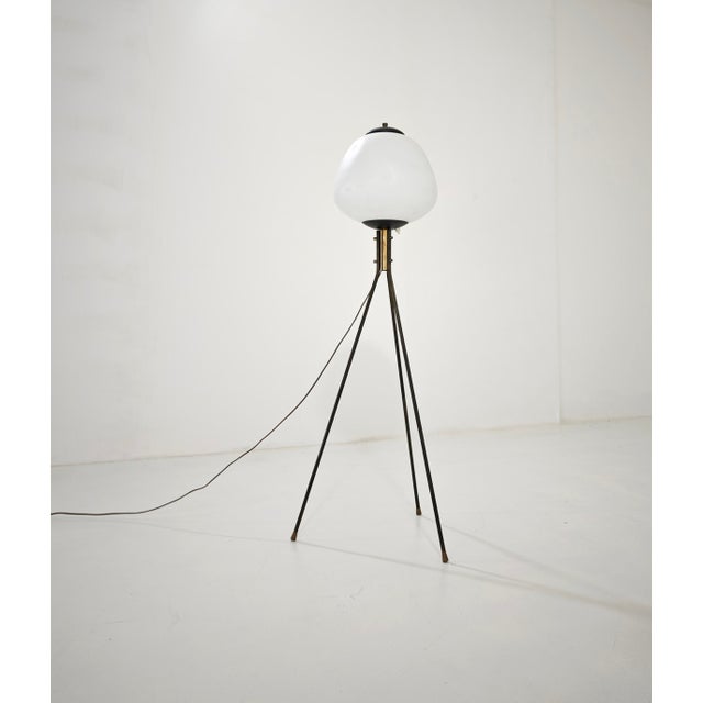 Mid-Century Modern Tripod Floor Lamp in Brass and Opaline Glass, Italy, 1960 For Sale - Image 6 of 14