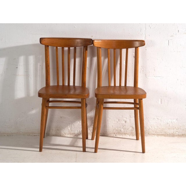 Bentwood Chairs by Michael Thonet for Ton, Former Czechoslovakia, 1960, Set of 2 For Sale - Image 6 of 13