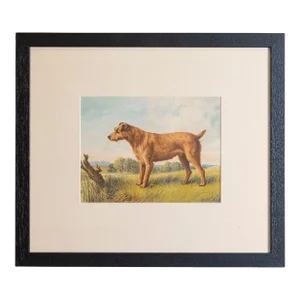 Cassell, Petter, Galpin & Co Chromolithograph Dog Prints in Black Frames