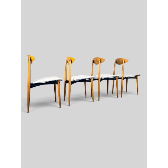 Mid-Century Italian Dining Chairs in Beech, Italy, 1960s, Set of 4 For Sale - Image 12 of 18