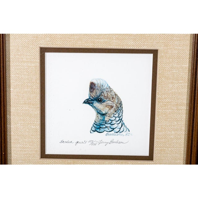 Terry Burleson (American 20th C.) Framed Group of Six Colored Lithographs For Sale In New York - Image 6 of 11