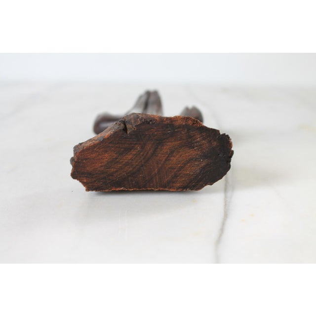 Vintage Ironwood Cactus Sculpture For Sale - Image 9 of 9