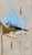Bird 1 by Ryan Morse | Oil on Antiqued Panel Oil painting of a blue and yellow bird on a neutral background. For Sale
