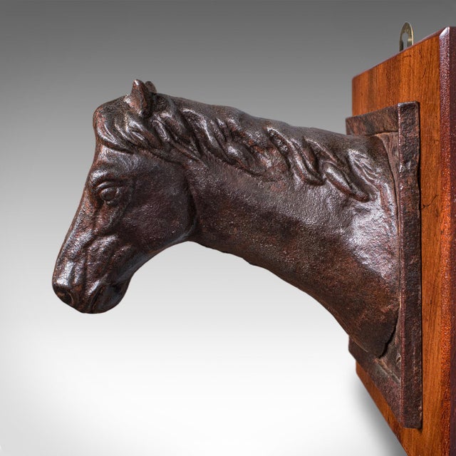Antique Mounted Horse Bust, English, Iron, Coat Hook, Equestrian Tack, Edwardian For Sale - Image 9 of 10