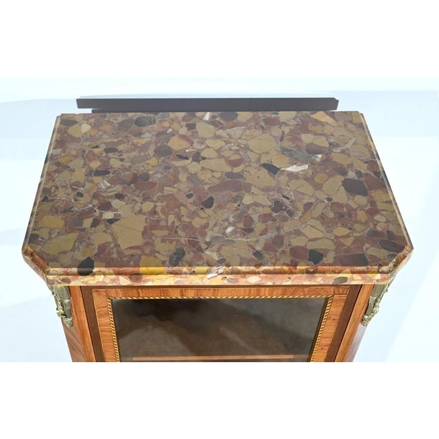 Small Early 20th Century Louis XVI Transition Showcase For Sale - Image 6 of 18