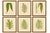 Victorian Exotic Fern Lithograph Portfolio by E.J. Lowe, 1856 – Set of 6 A refined and visually striking collection of six...