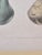 Vintage Framed Pomological Fruit Prints, Set of Three For Sale - Image 14 of 18