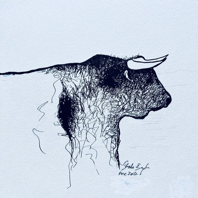 "Bull" Contemporary Original Animal Still Life Drawing by Shabs Beigh For Sale