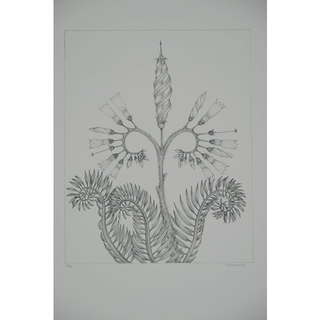 Gochka Charewicz, Fleur en courbes, Lithograph For Sale - Image 8 of 8