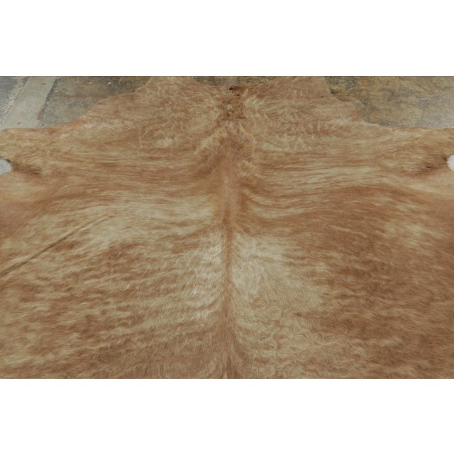 This 6x8 contemporary cowhide rug is an exciting new addition to Rug & Kilim’s Modern collection—a naturally shaped animal...