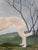 Green Antique 19th Century Oil Painting Portrait of a Saluki Dog For Sale - Image 8 of 17